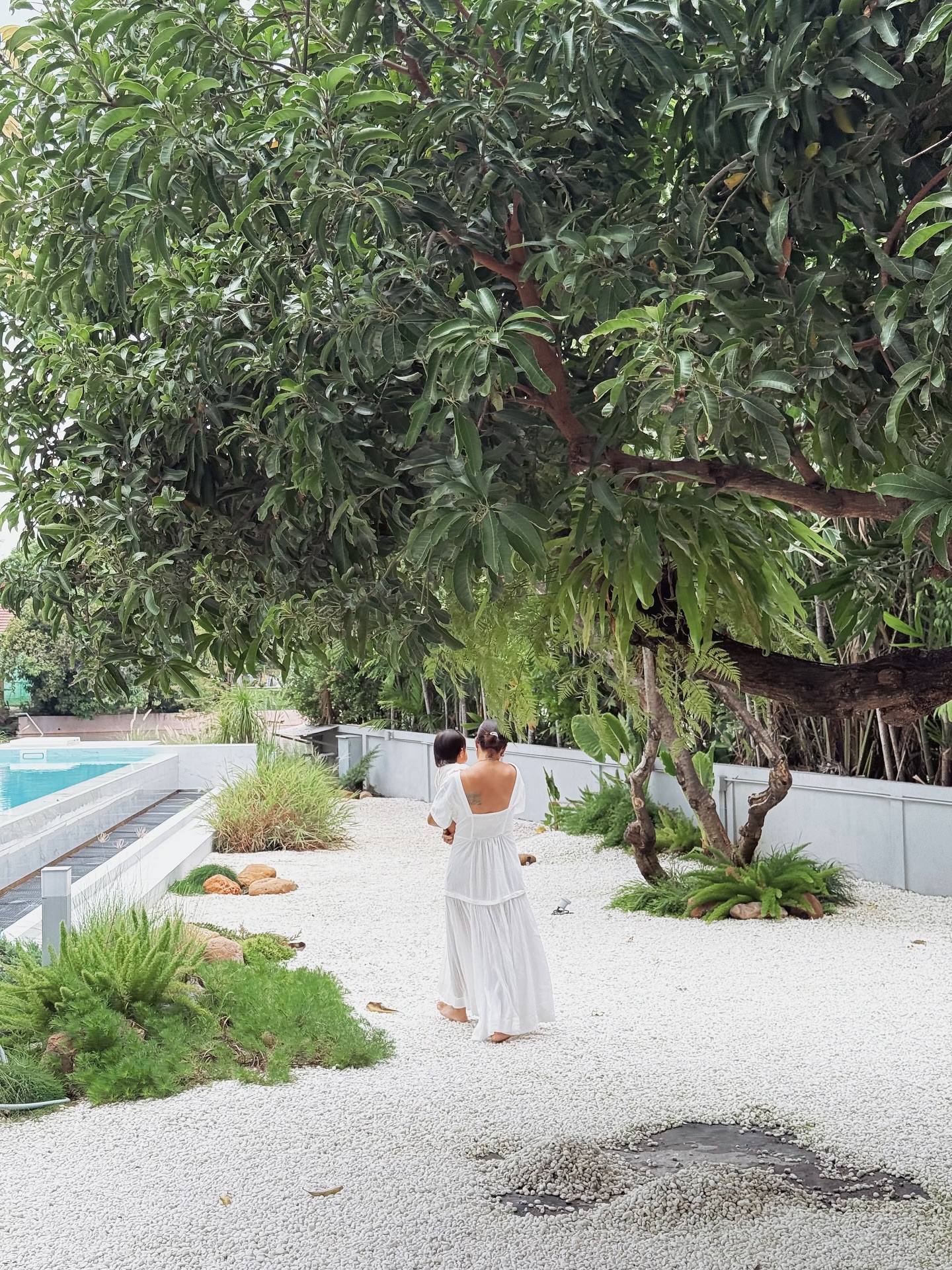 จิ๊บ - ปกฉัตร เทียมชัย