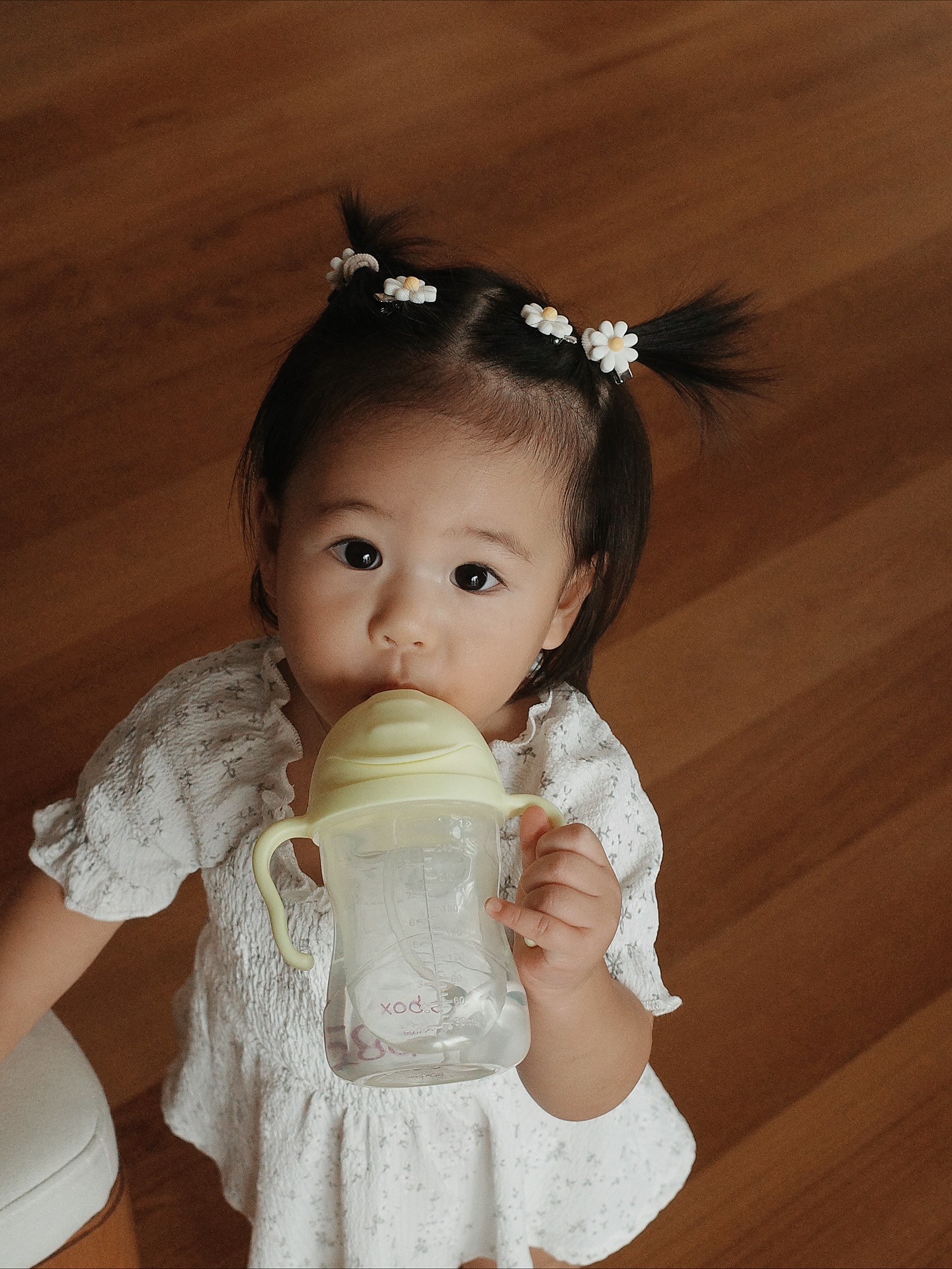 จิ๊บ - ปกฉัตร เทียมชัย