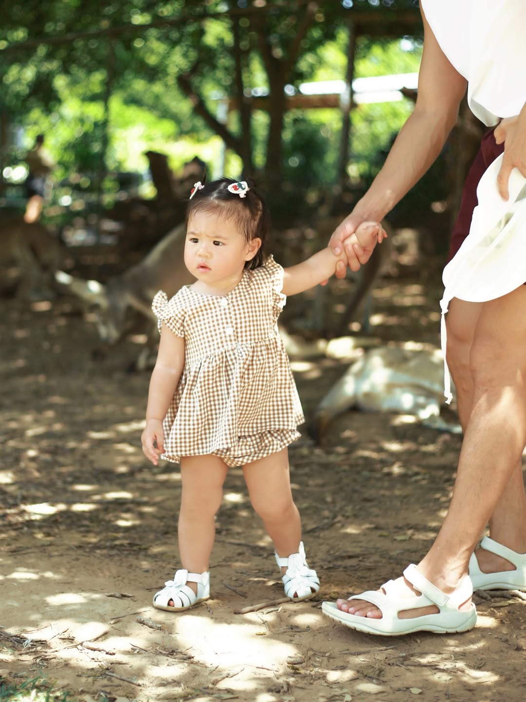 จิ๊บ - ปกฉัตร เทียมชัย