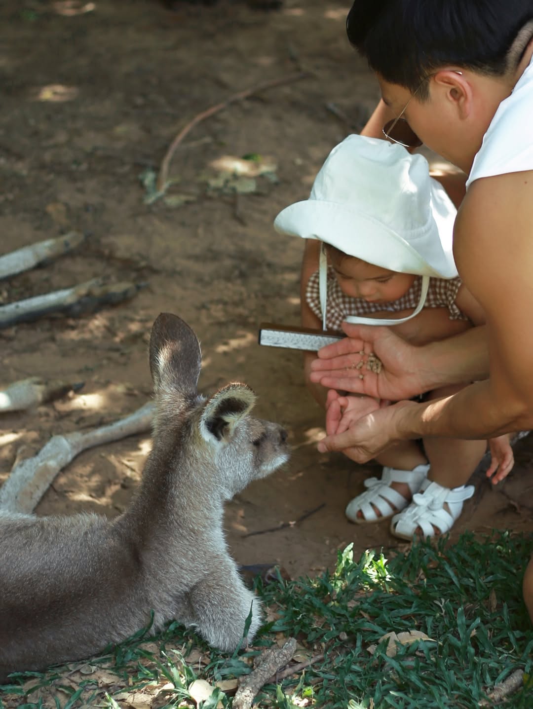 จิ๊บ - ปกฉัตร เทียมชัย