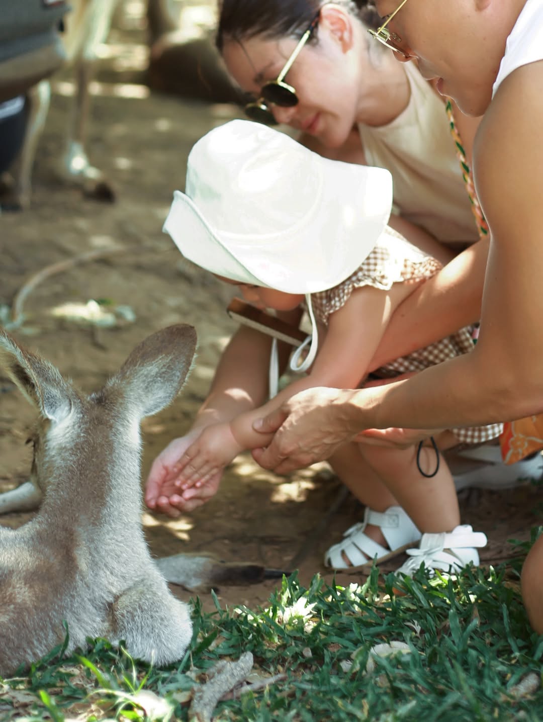 จิ๊บ - ปกฉัตร เทียมชัย