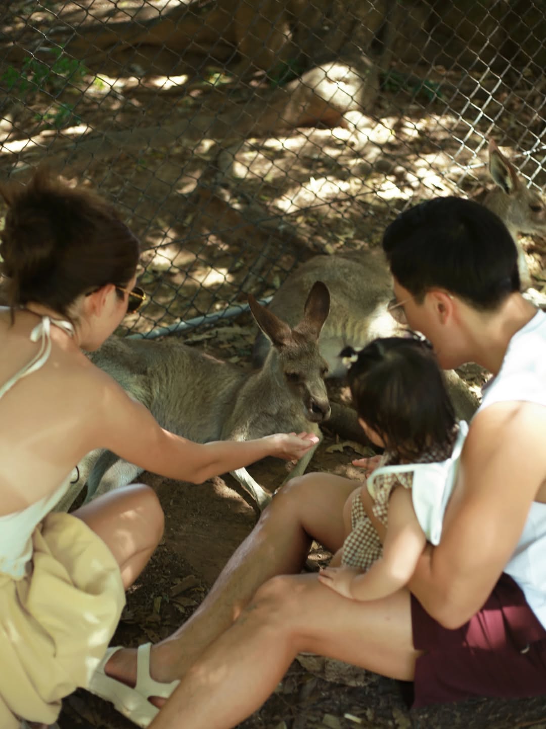 จิ๊บ - ปกฉัตร เทียมชัย