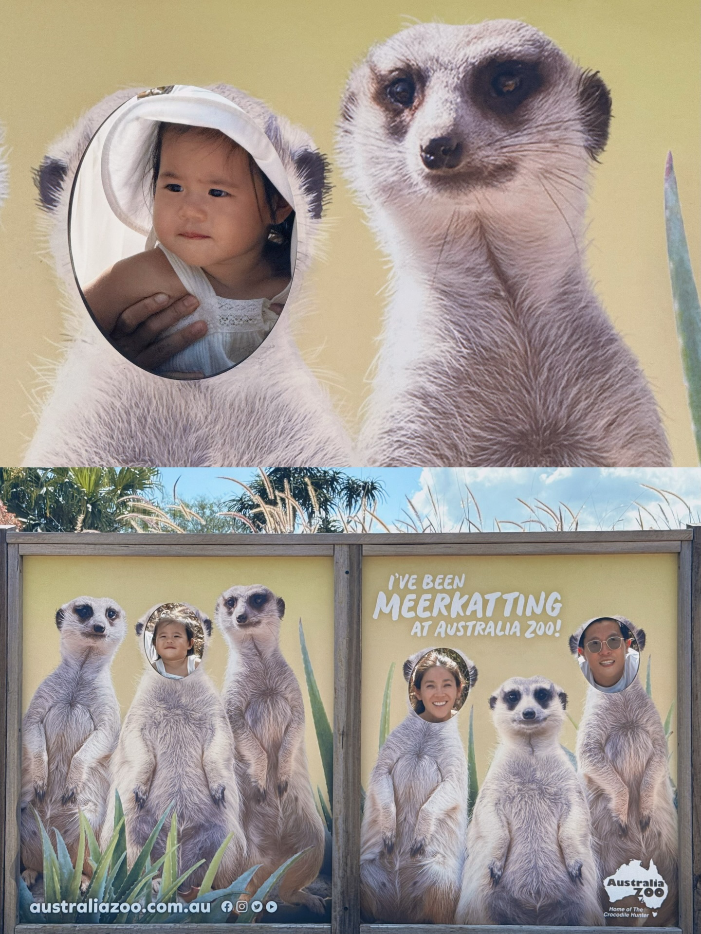 จิ๊บ - ปกฉัตร เทียมชัย