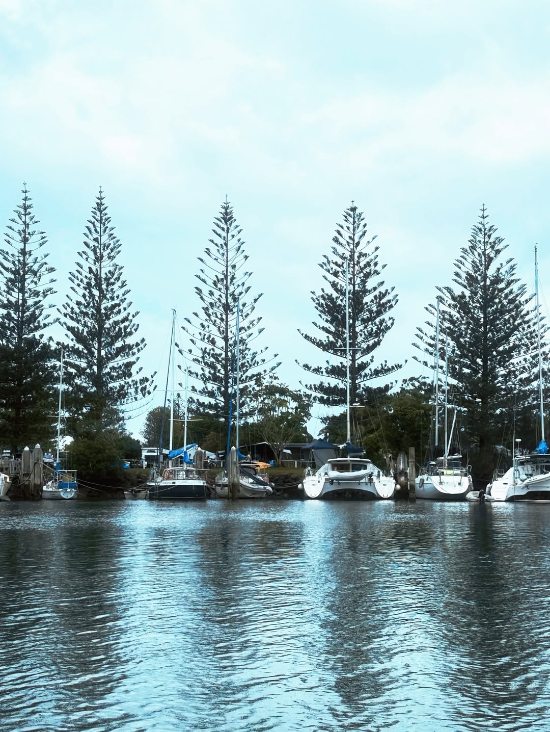 จิ๊บ - ปกฉัตร เทียมชัย