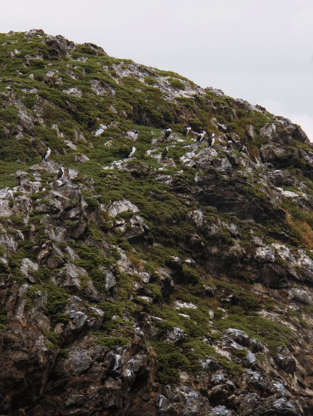 จิ๊บ - ปกฉัตร เทียมชัย