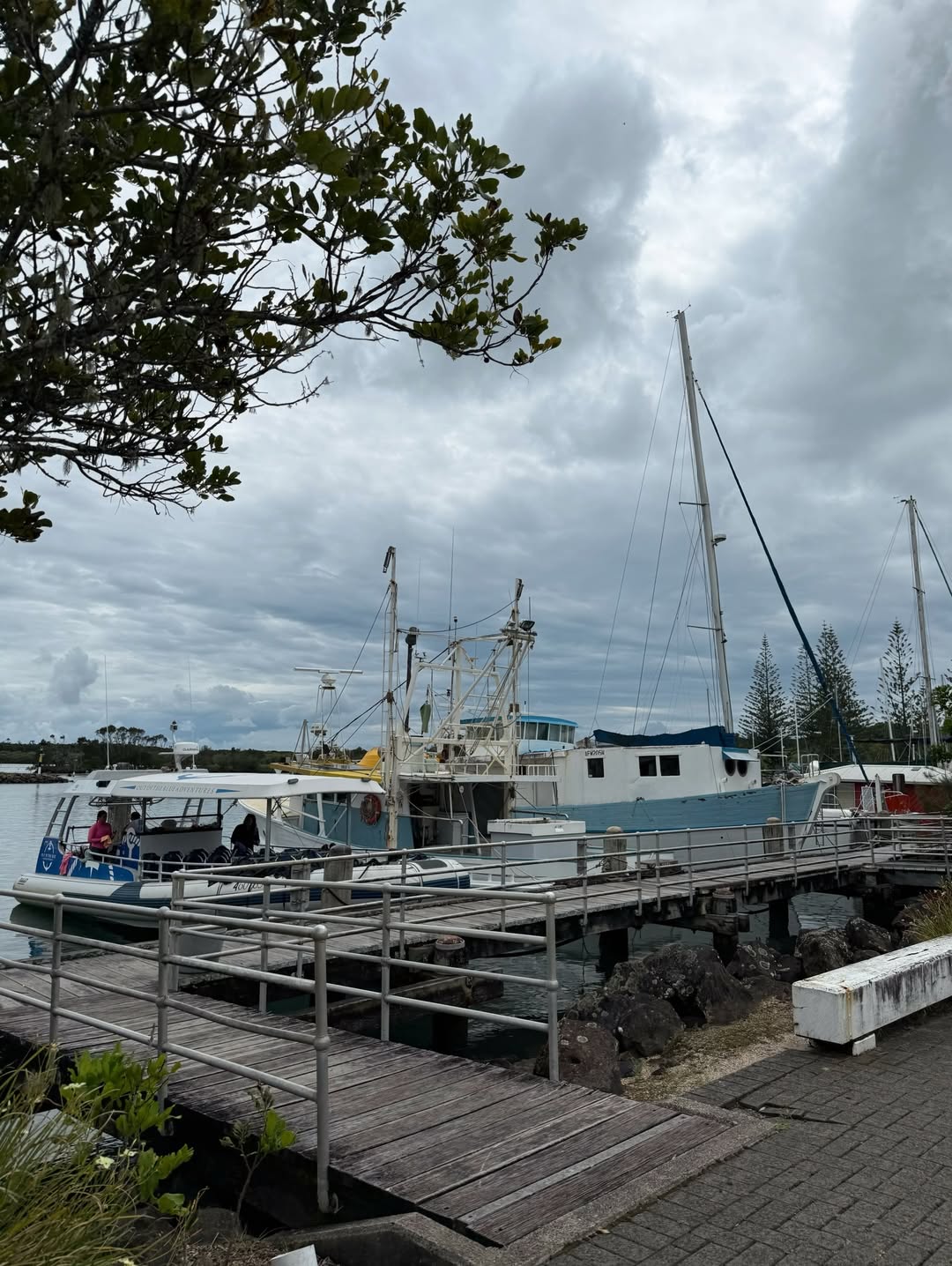 จิ๊บ - ปกฉัตร เทียมชัย