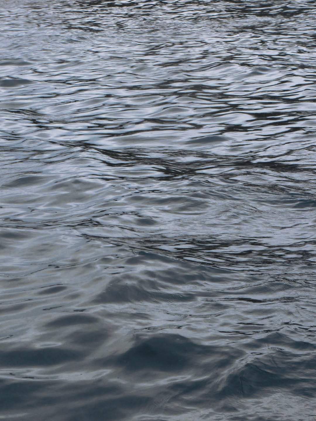 จิ๊บ - ปกฉัตร เทียมชัย