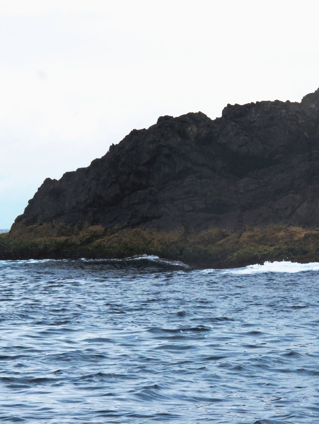 จิ๊บ - ปกฉัตร เทียมชัย