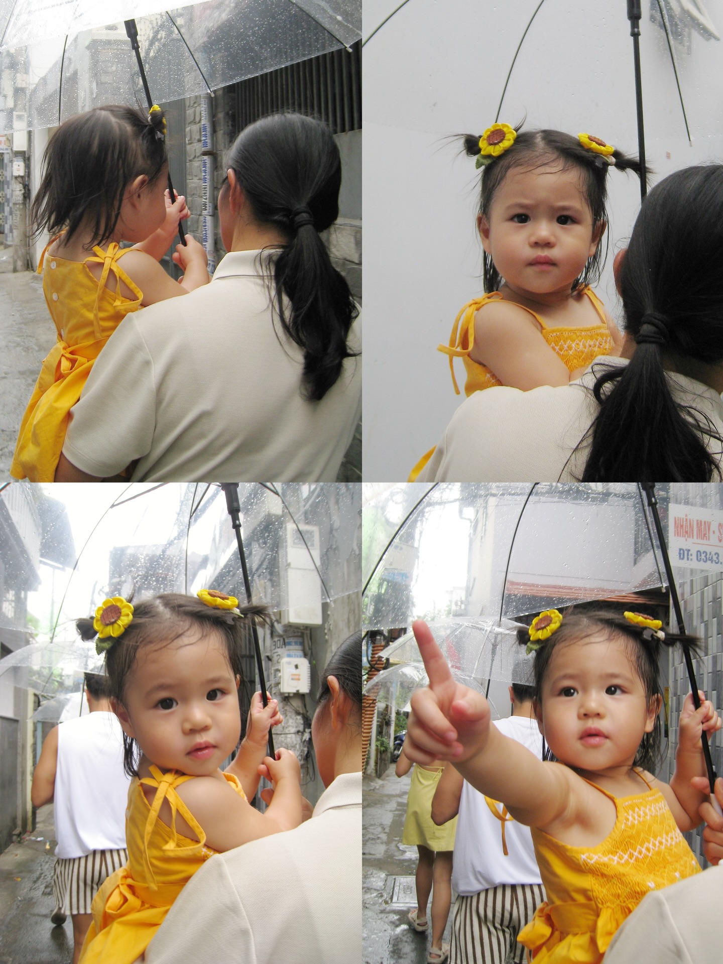 จิ๊บ - ปกฉัตร เทียมชัย