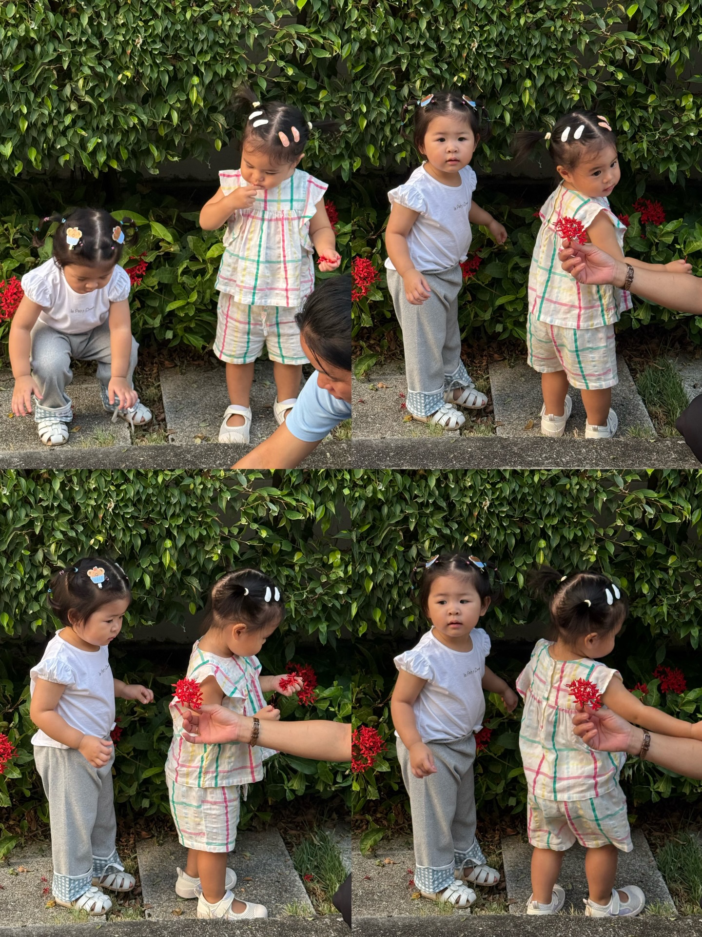 จิ๊บ - ปกฉัตร เทียมชัย