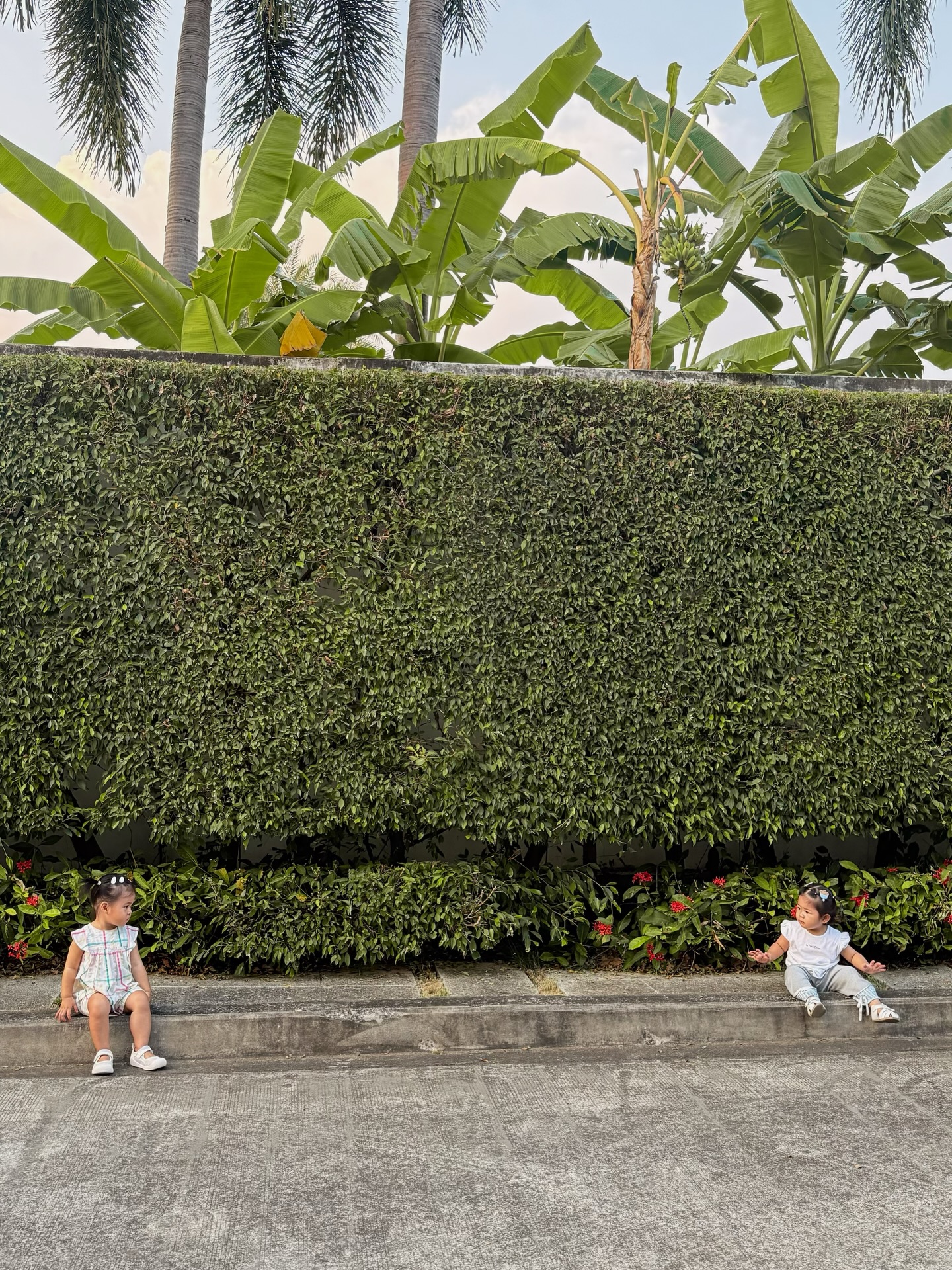 จิ๊บ - ปกฉัตร เทียมชัย