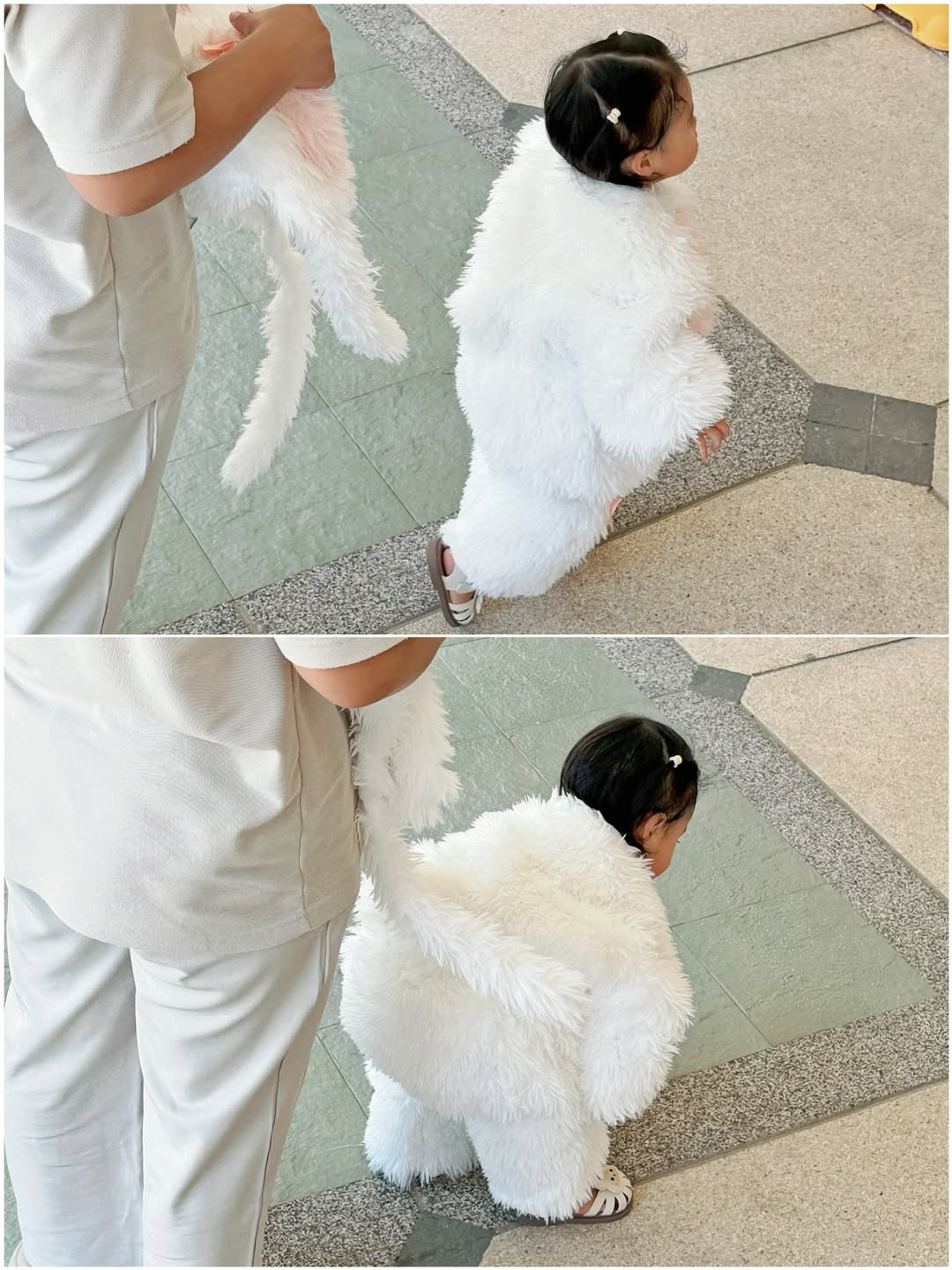 จิ๊บ - ปกฉัตร เทียมชัย