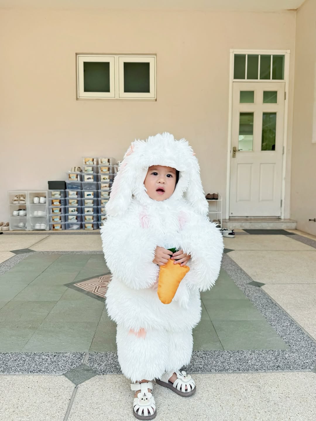 จิ๊บ - ปกฉัตร เทียมชัย