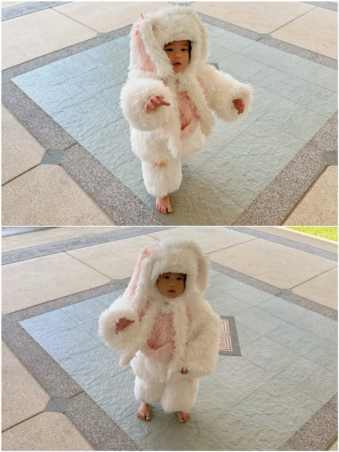 จิ๊บ - ปกฉัตร เทียมชัย