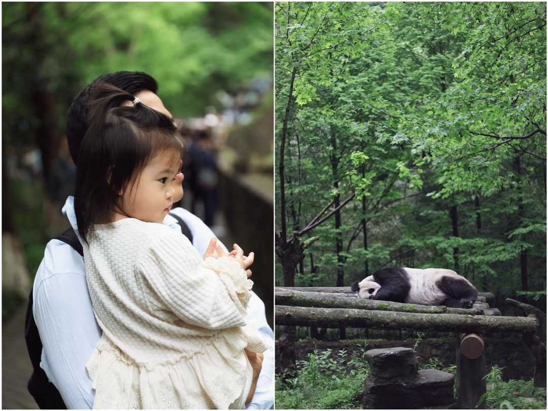 จิ๊บ - ปกฉัตร เทียมชัย