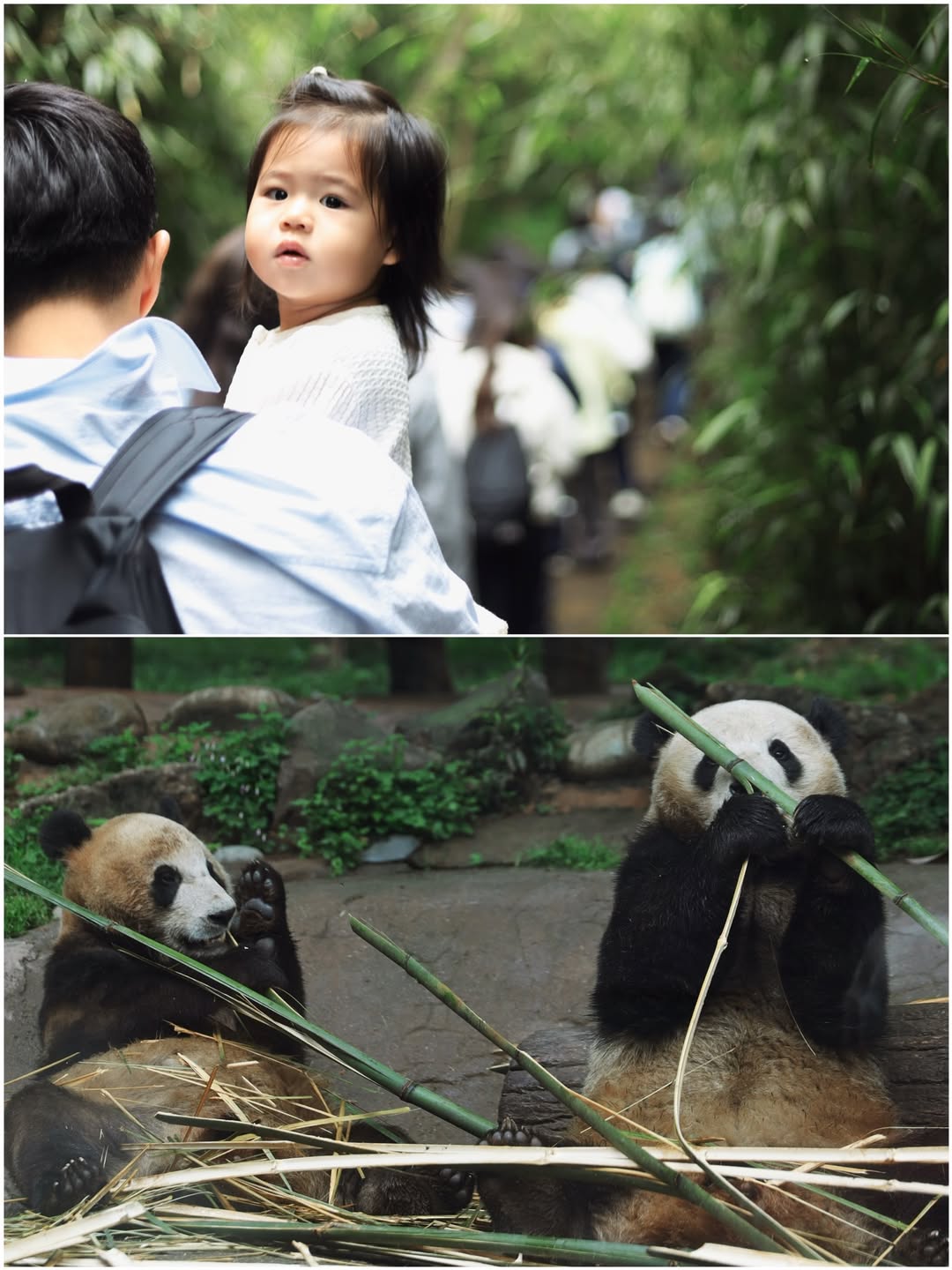 จิ๊บ - ปกฉัตร เทียมชัย