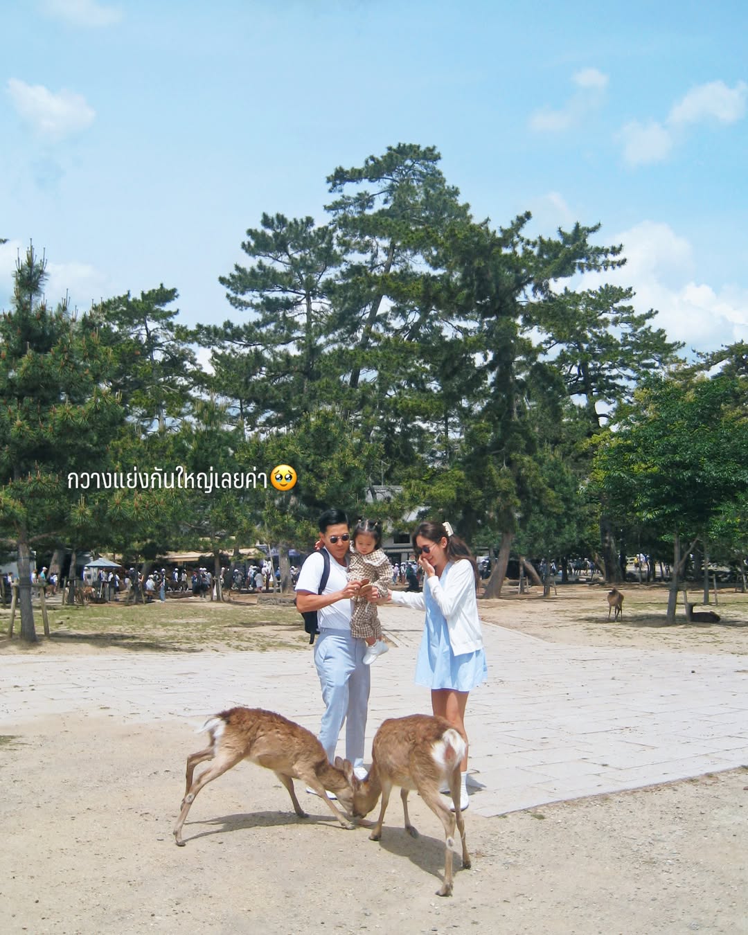 จิ๊บ - ปกฉัตร เทียมชัย
