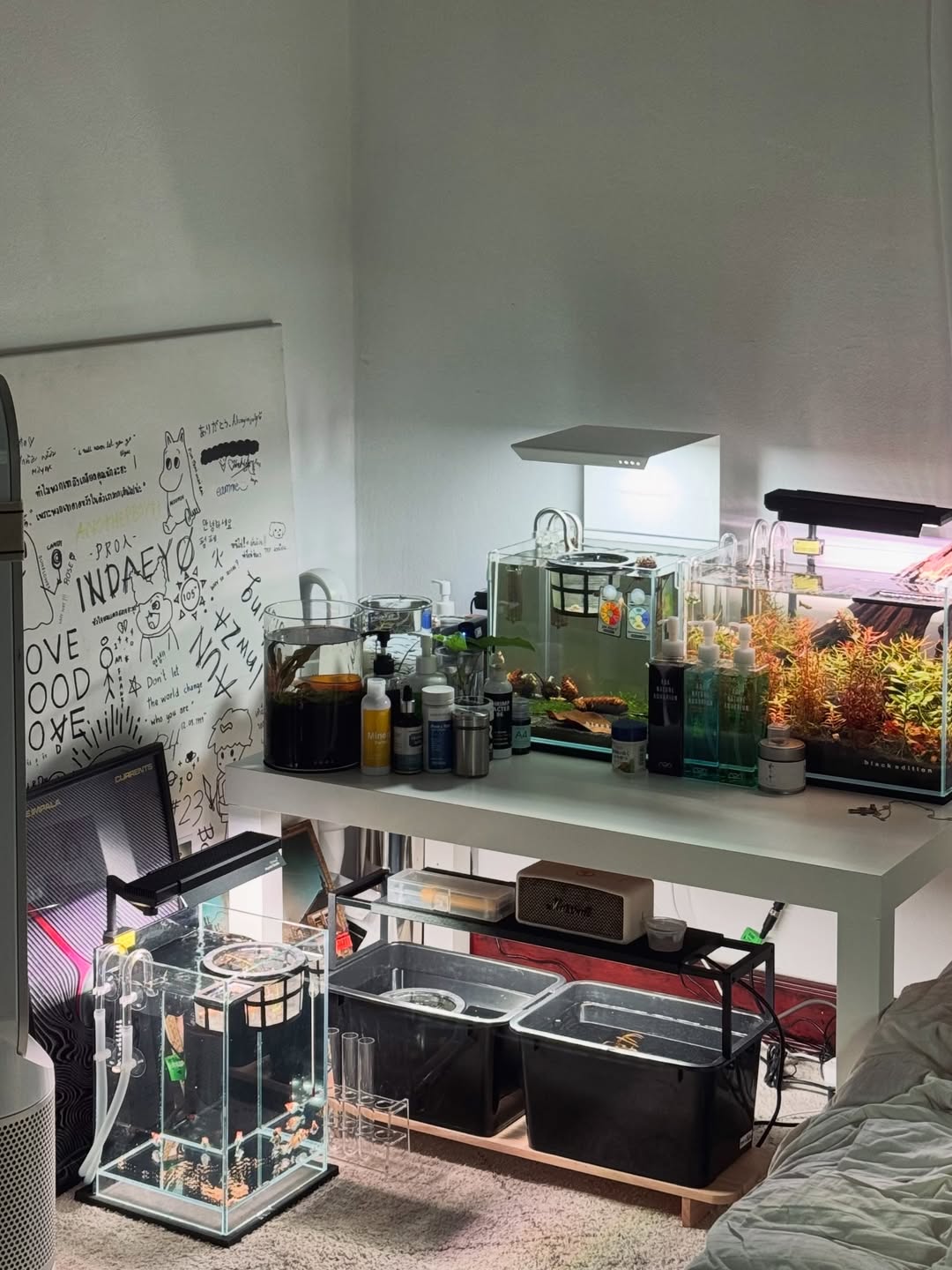 พร้อม - ราชภัทร วรสาร