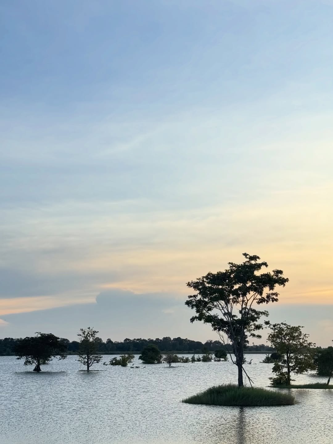 พร้อม - ราชภัทร วรสาร