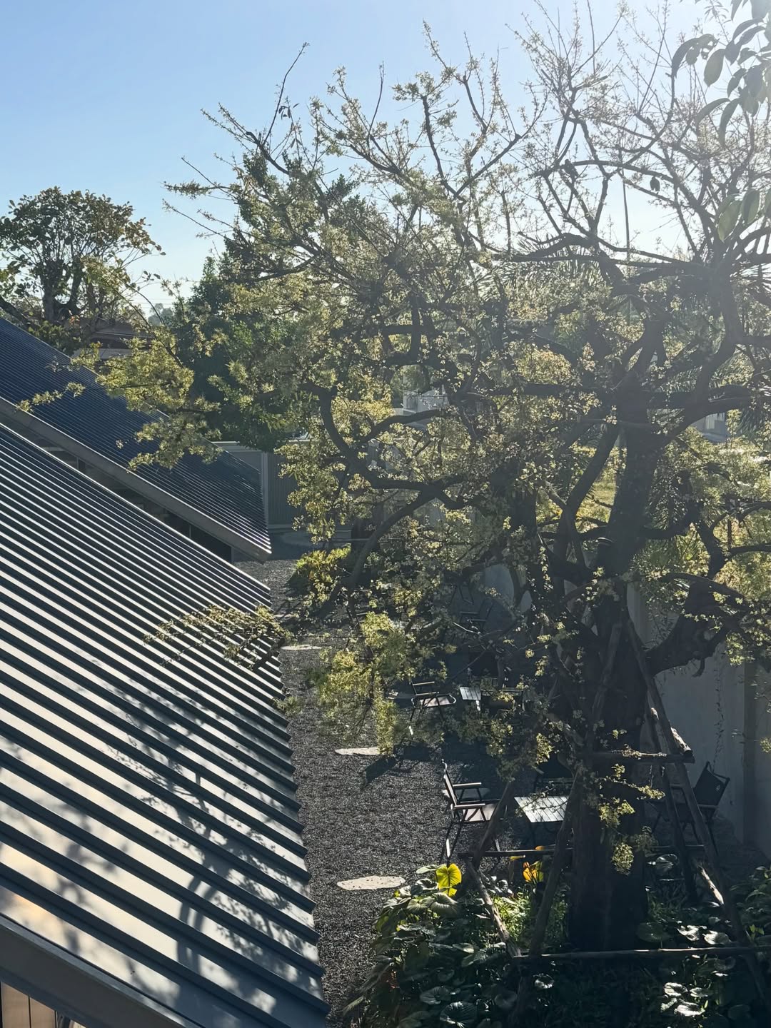 พร้อม - ราชภัทร วรสาร