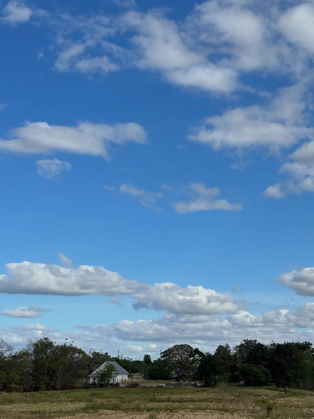 พร้อม - ราชภัทร วรสาร