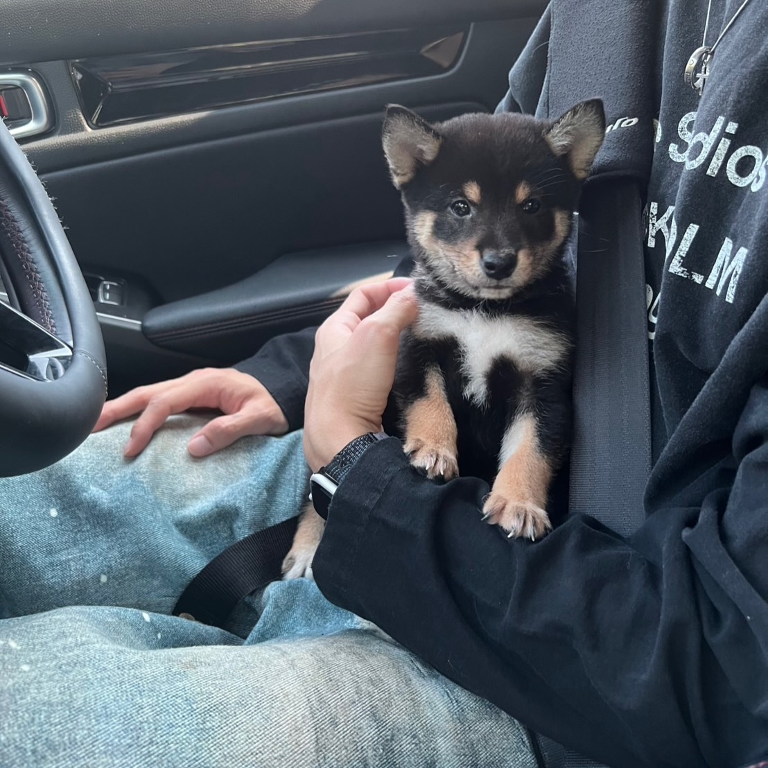 พร้อม - ราชภัทร วรสาร