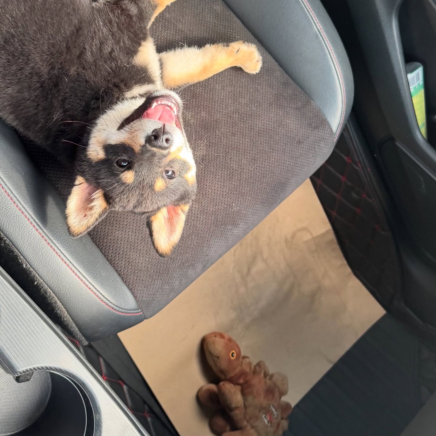 พร้อม - ราชภัทร วรสาร