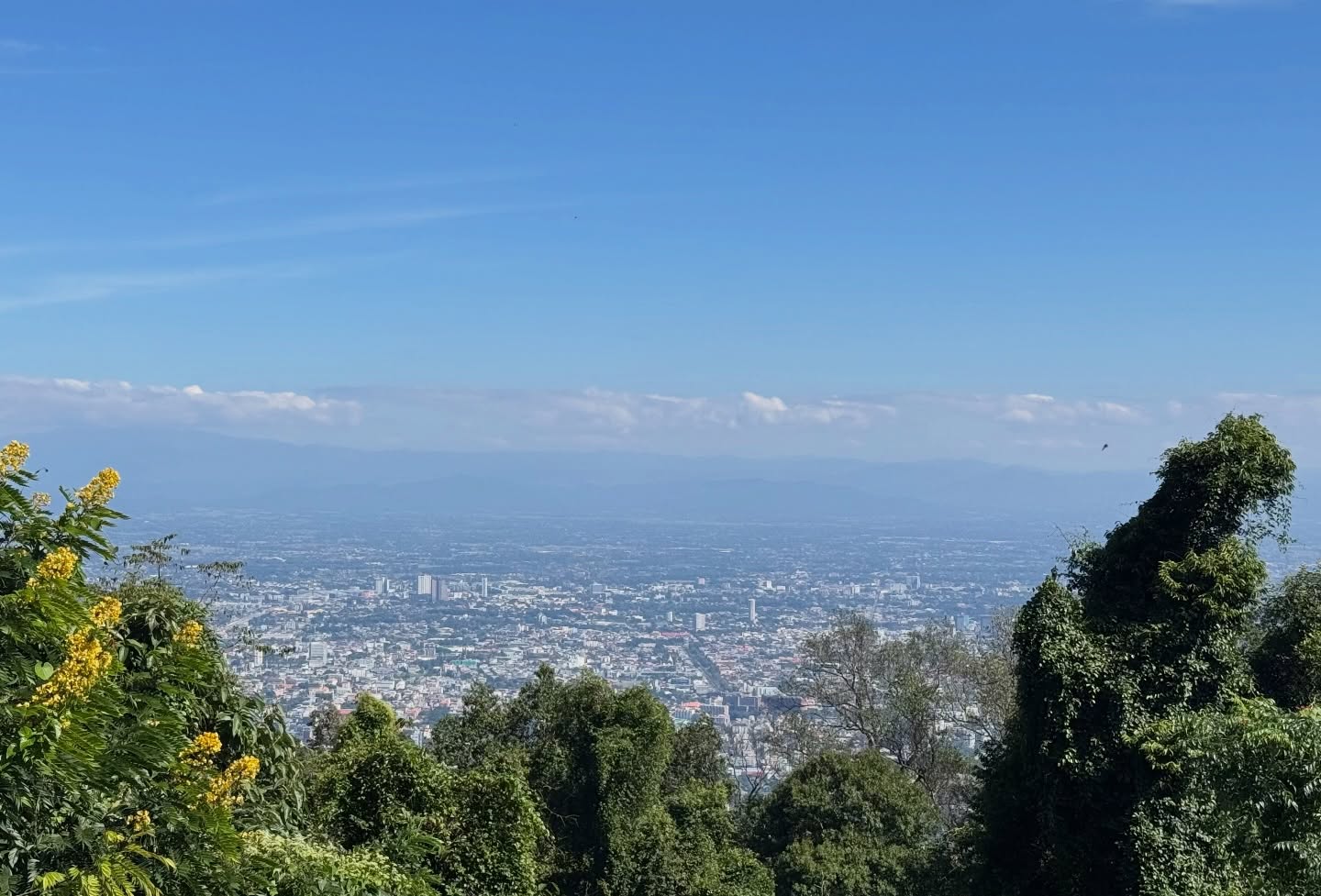 พร้อม - ราชภัทร วรสาร