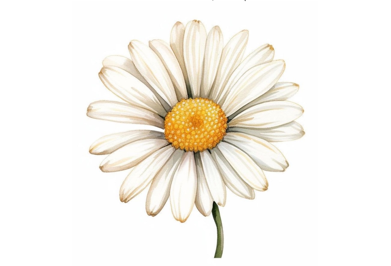 พร้อม - ราชภัทร วรสาร