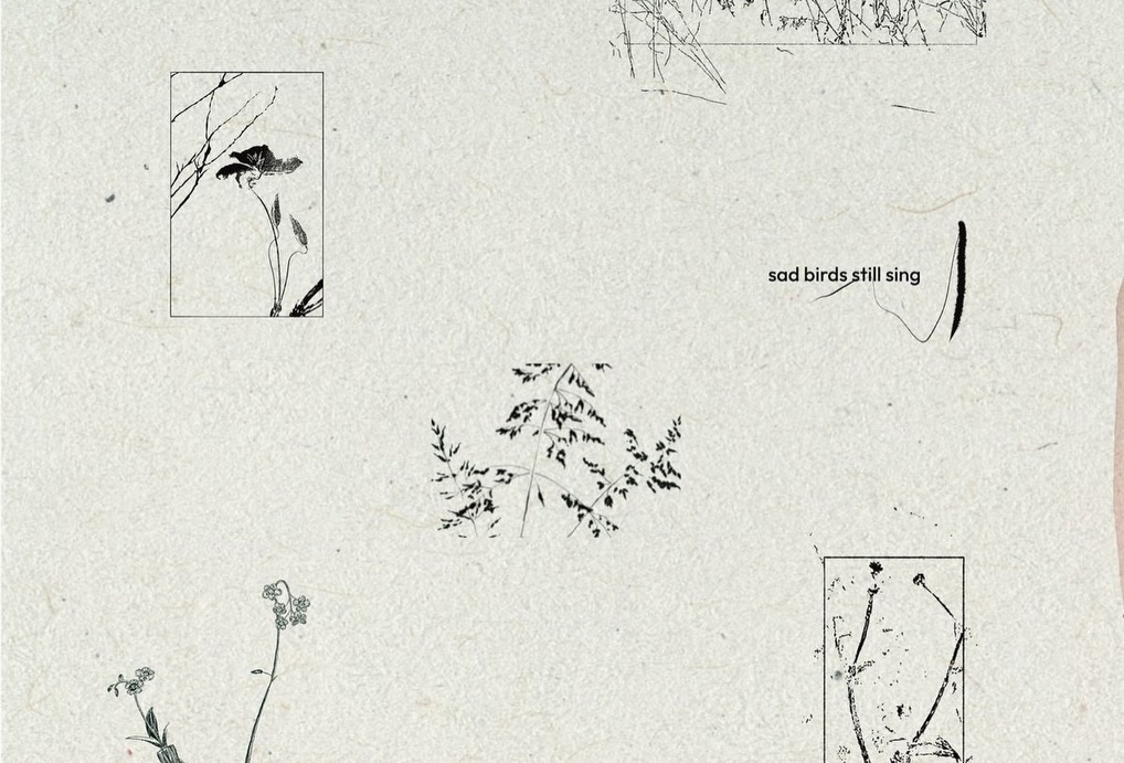 พร้อม - ราชภัทร วรสาร