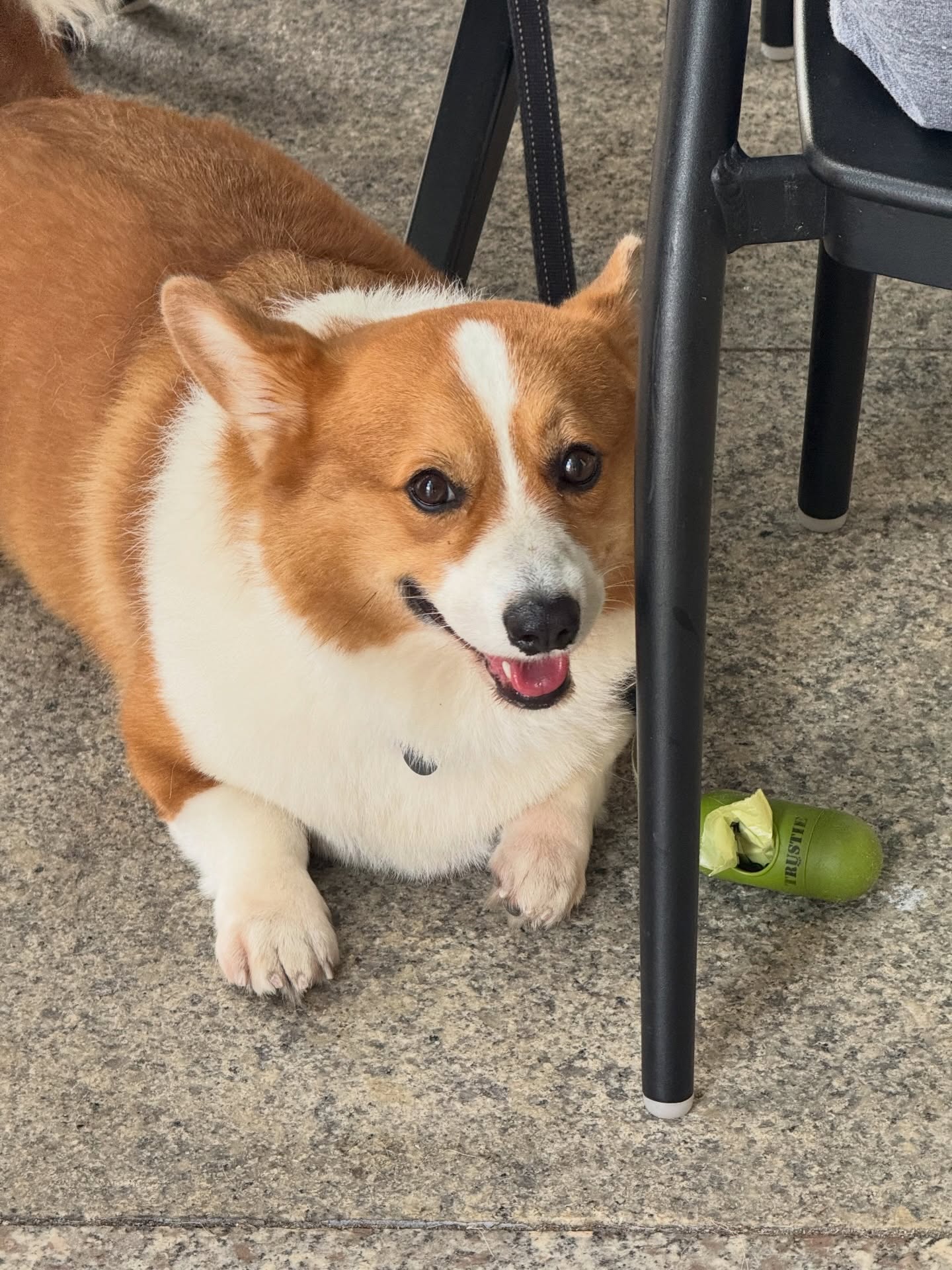 พร้อม - ราชภัทร วรสาร