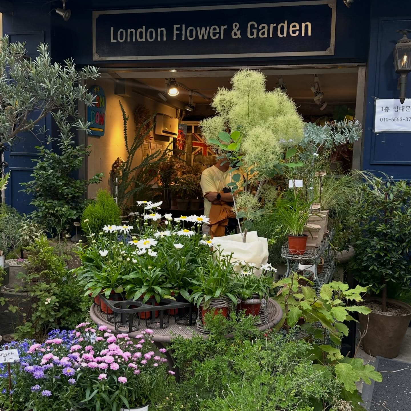 พร้อม - ราชภัทร วรสาร