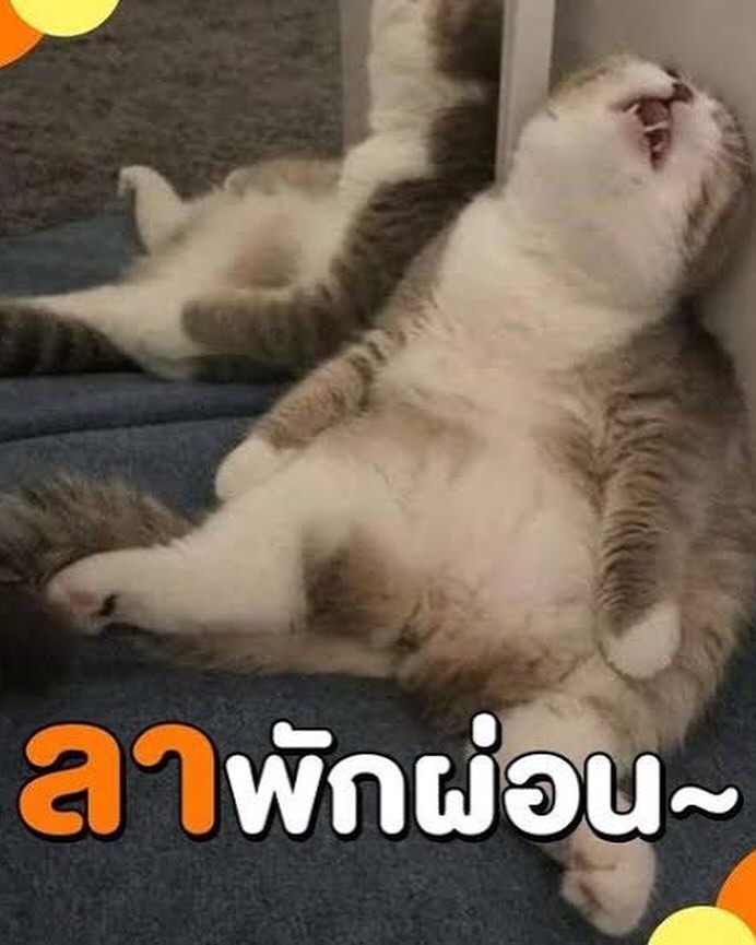 มายด์ - อาทิตยา ตรีบุดารักษ์