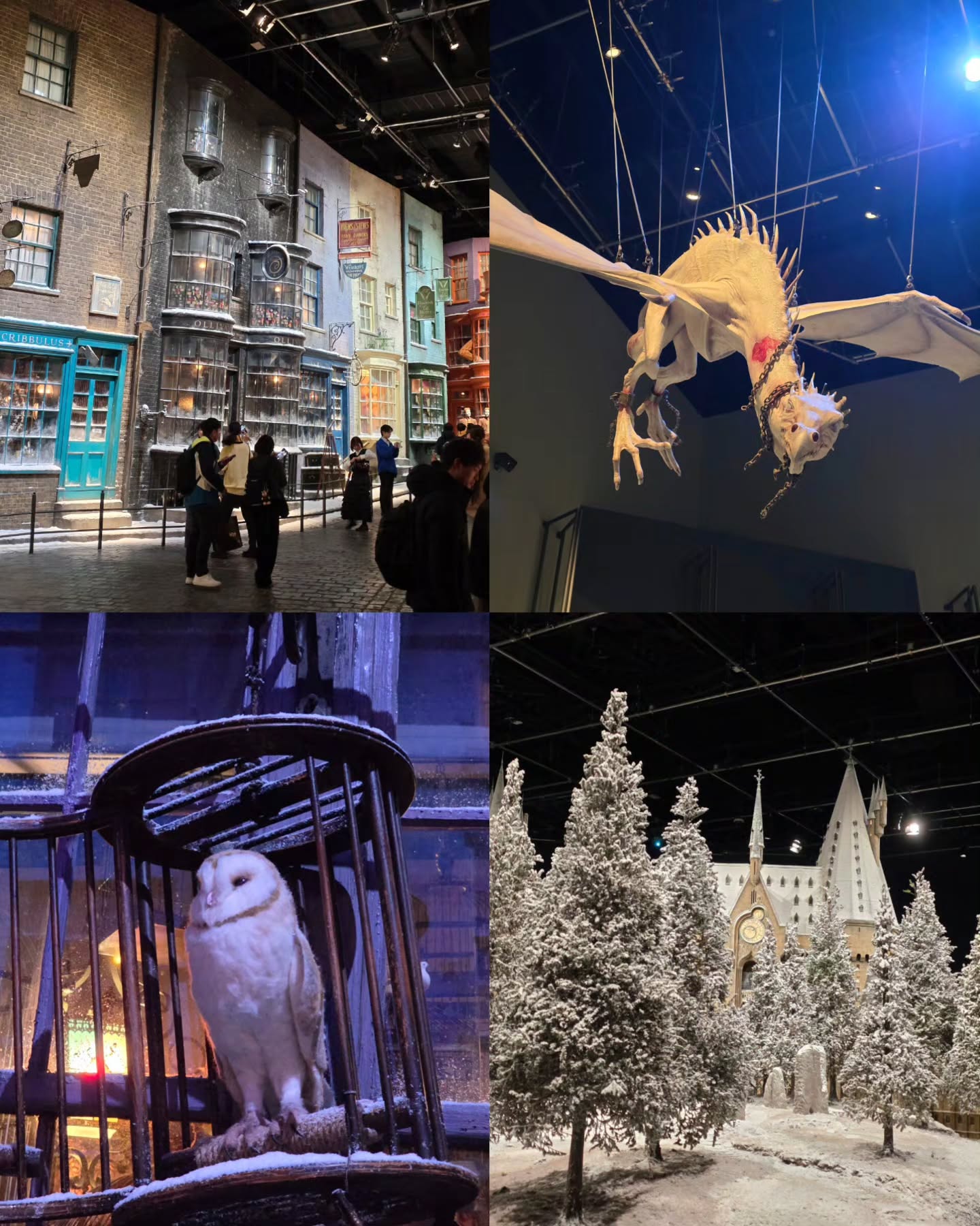 มายด์ - อาทิตยา ตรีบุดารักษ์