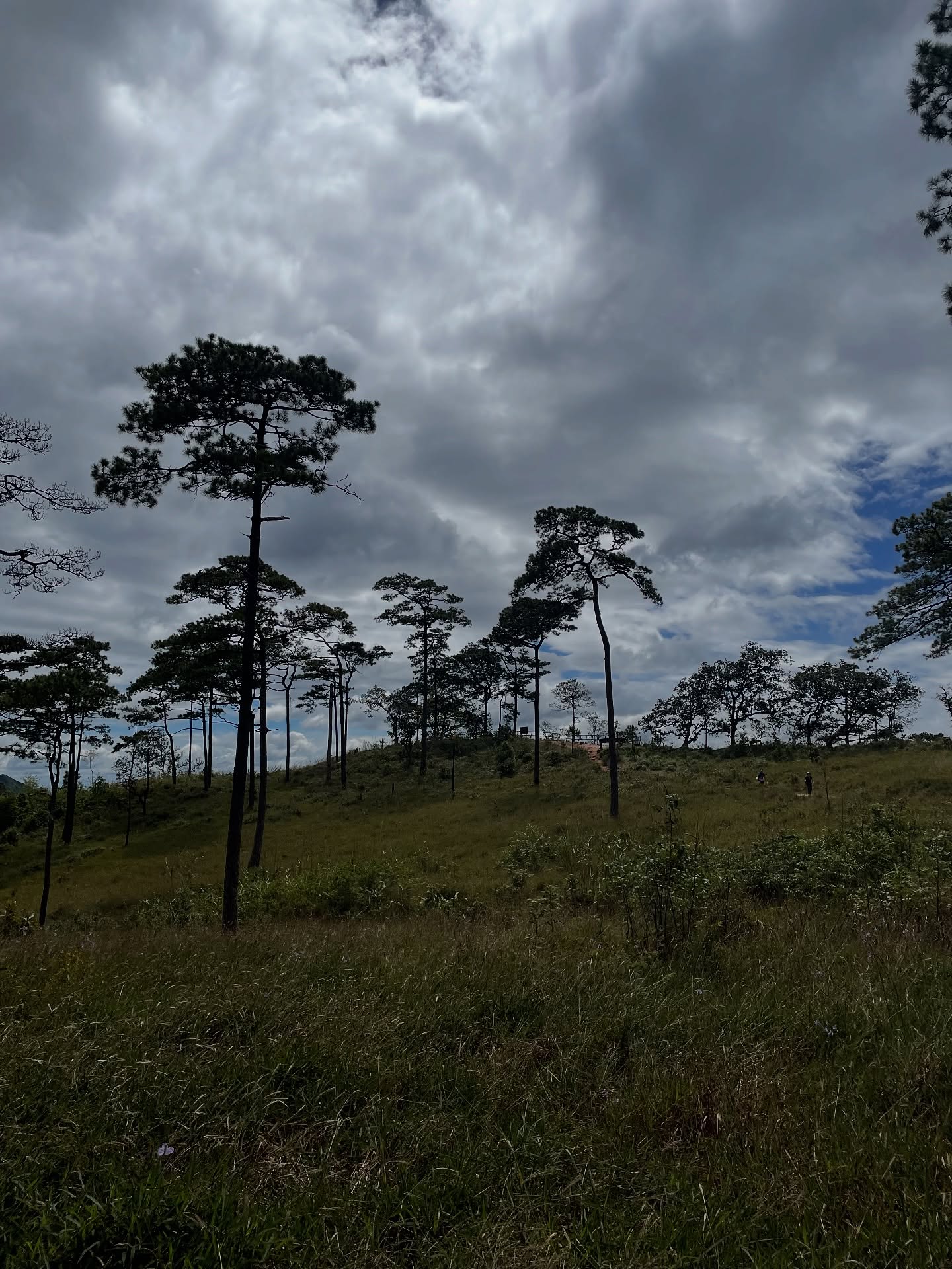 นาน่า - ศวรรยา ไพศาลพยัคฆ์