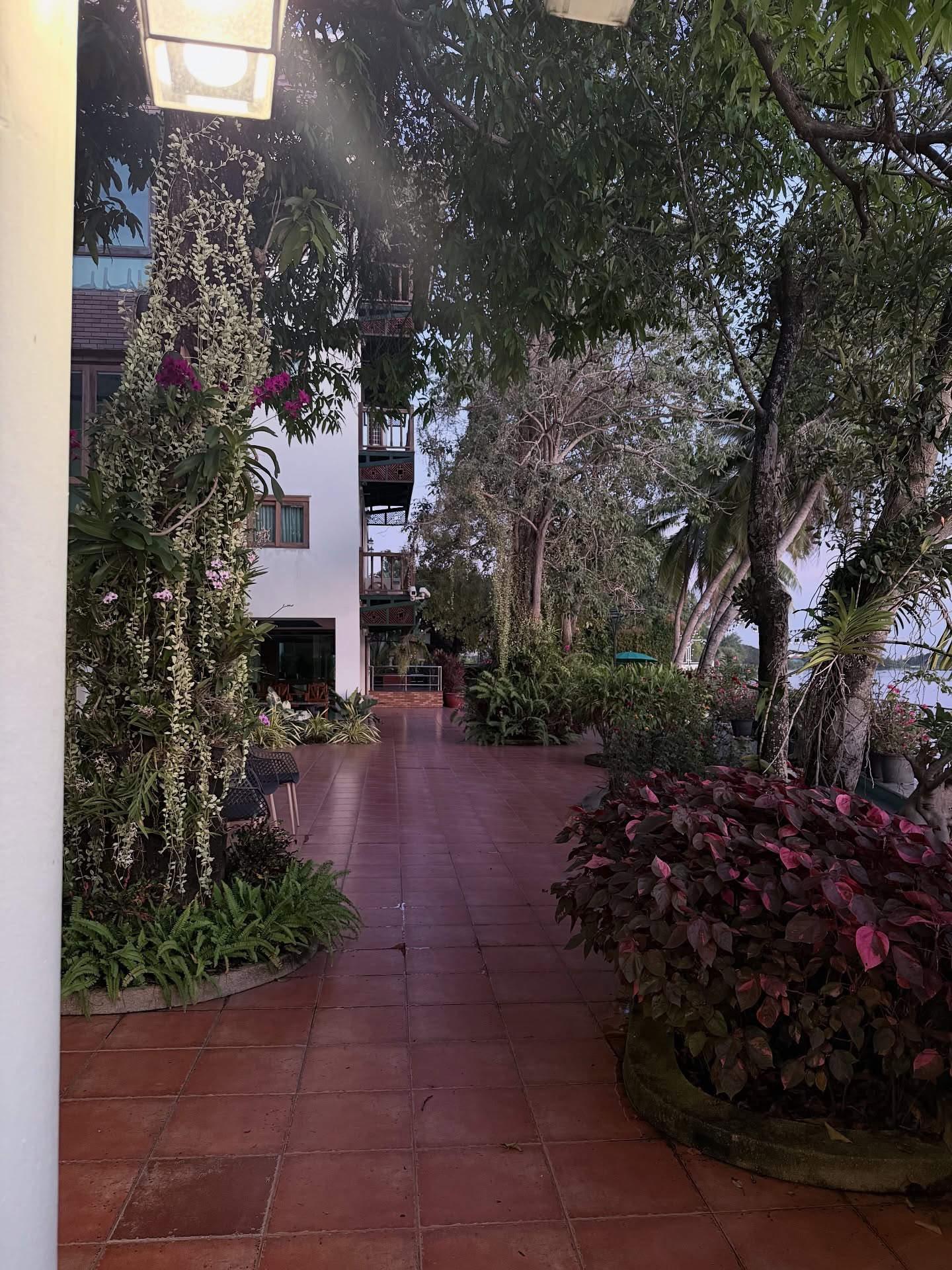 นาน่า - ศวรรยา ไพศาลพยัคฆ์