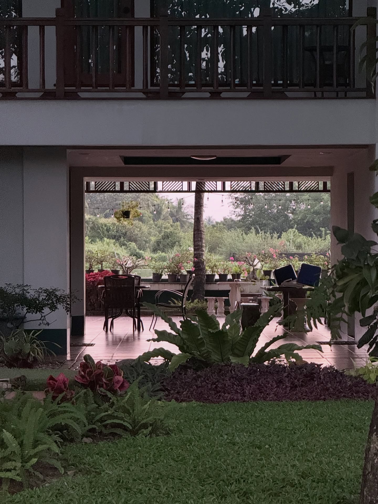 นาน่า - ศวรรยา ไพศาลพยัคฆ์