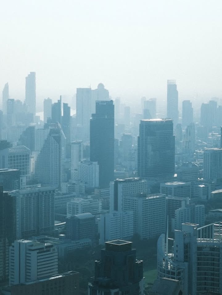 นาน่า - ศวรรยา ไพศาลพยัคฆ์