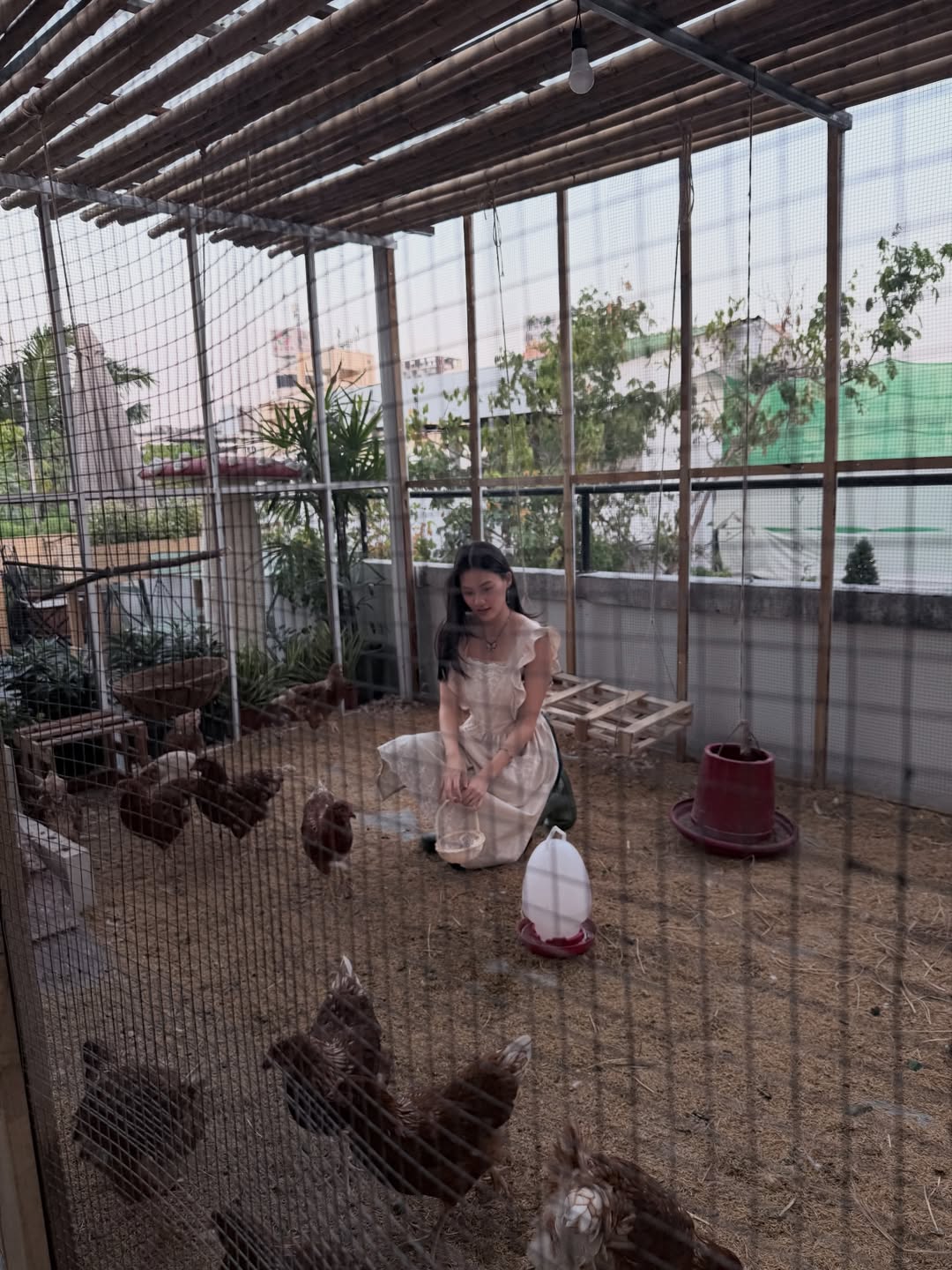 นาน่า - ศวรรยา ไพศาลพยัคฆ์