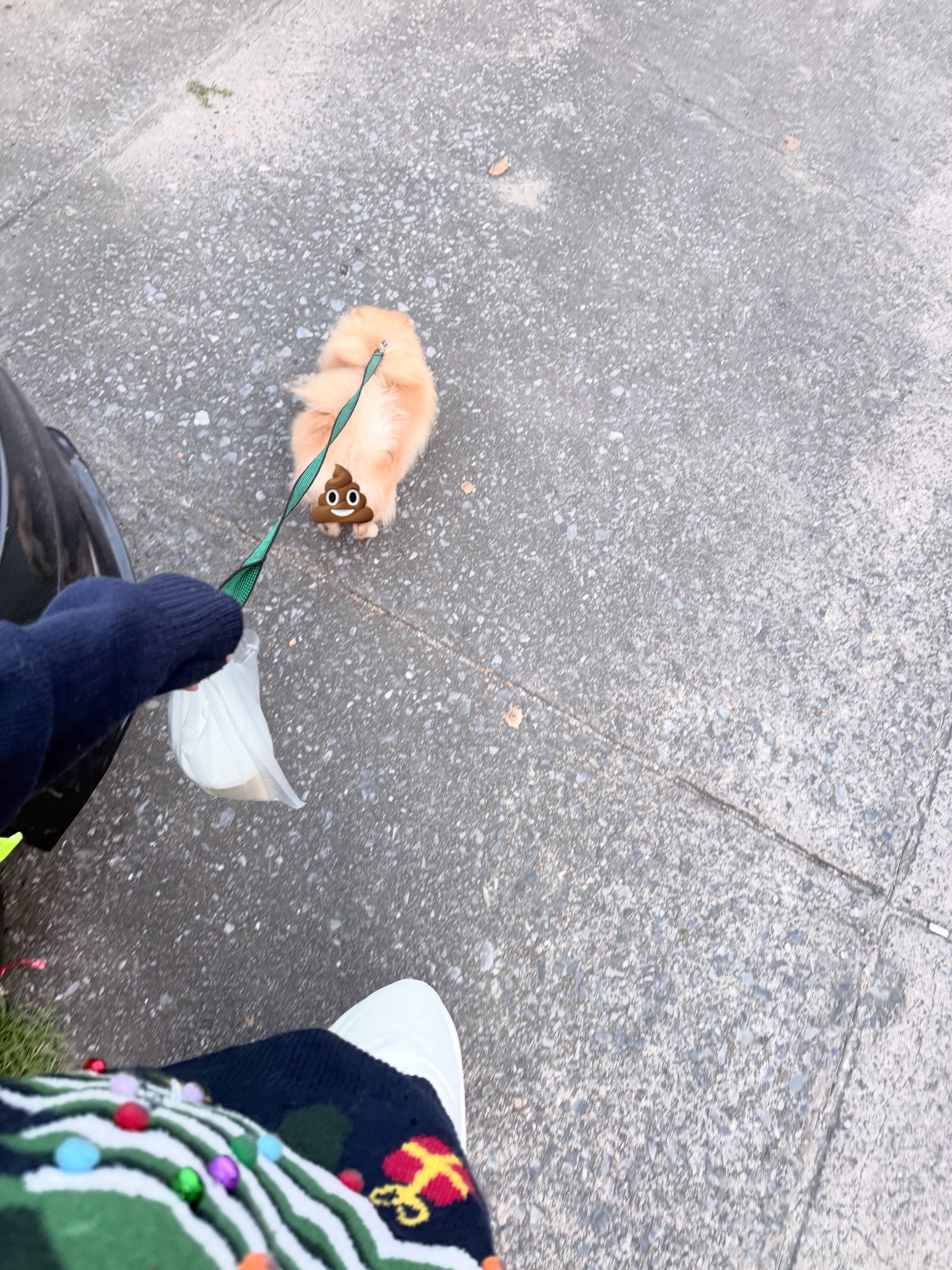 นาน่า - ศวรรยา ไพศาลพยัคฆ์