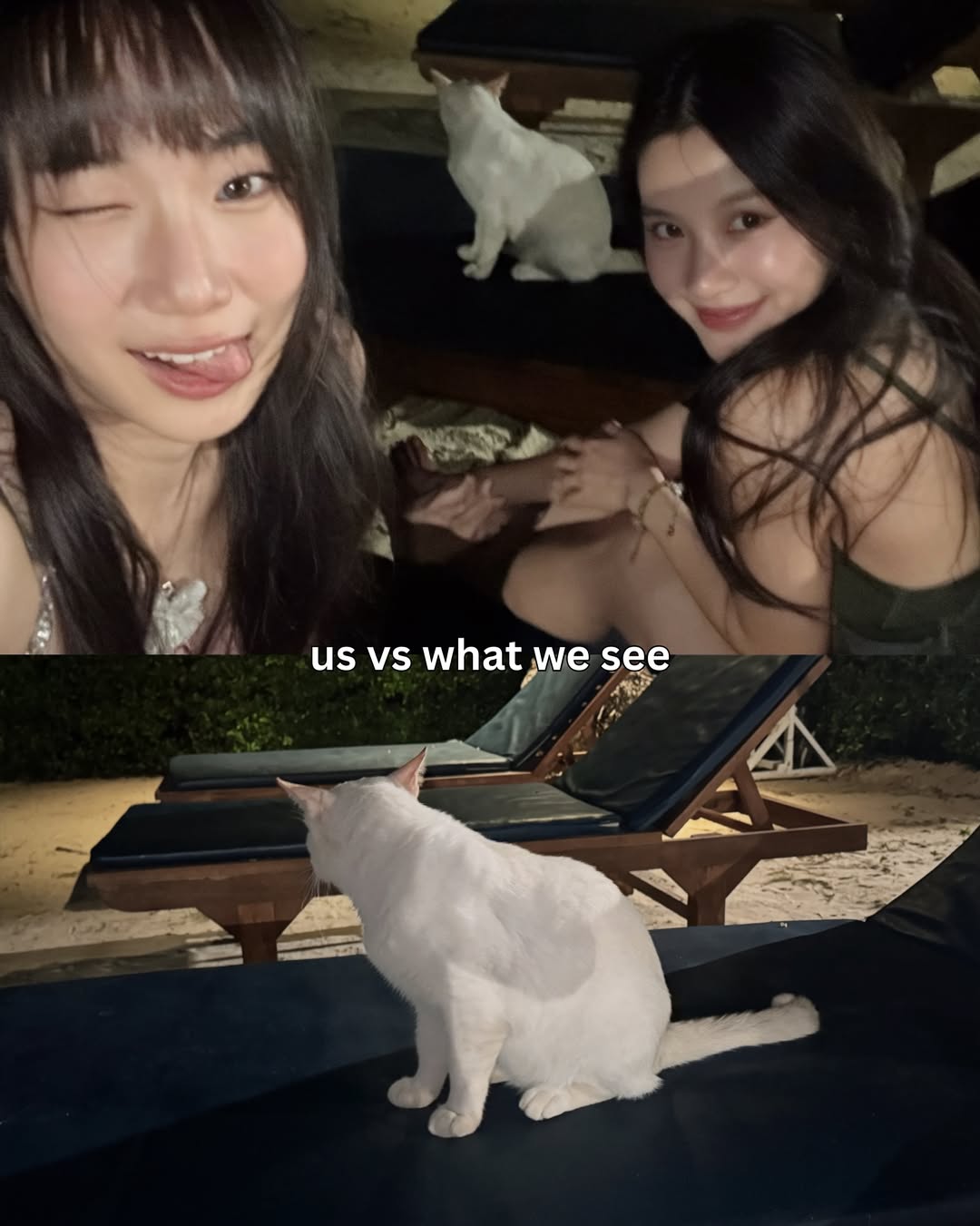 นาน่า - ศวรรยา ไพศาลพยัคฆ์