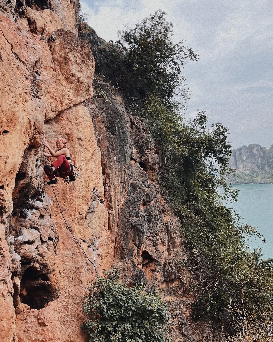 ลุลา
