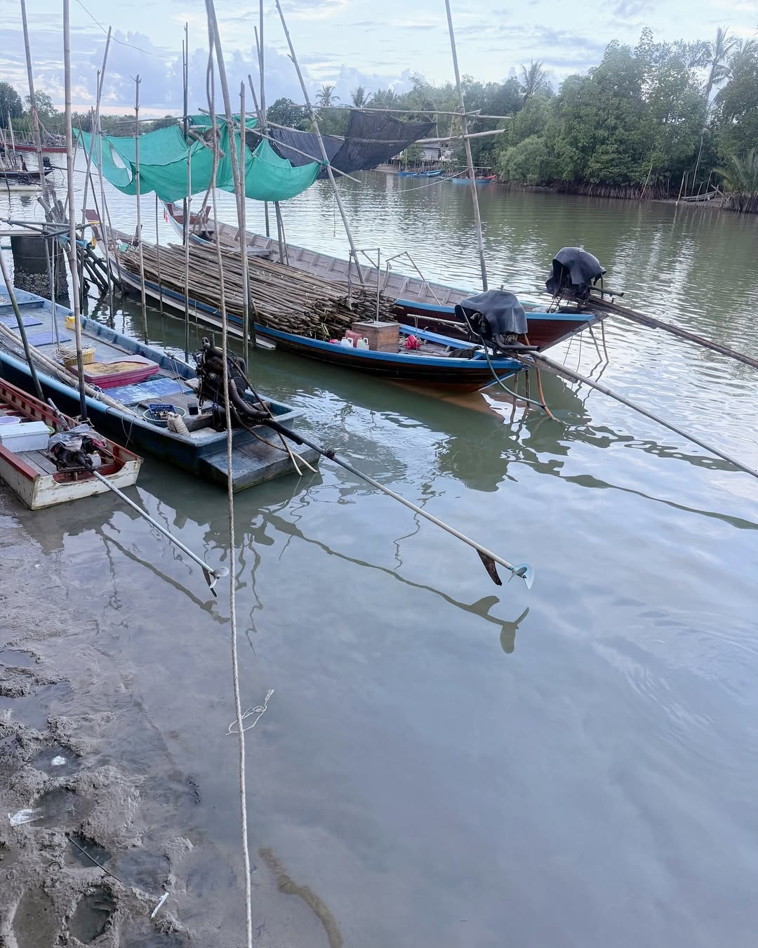 ลุลา