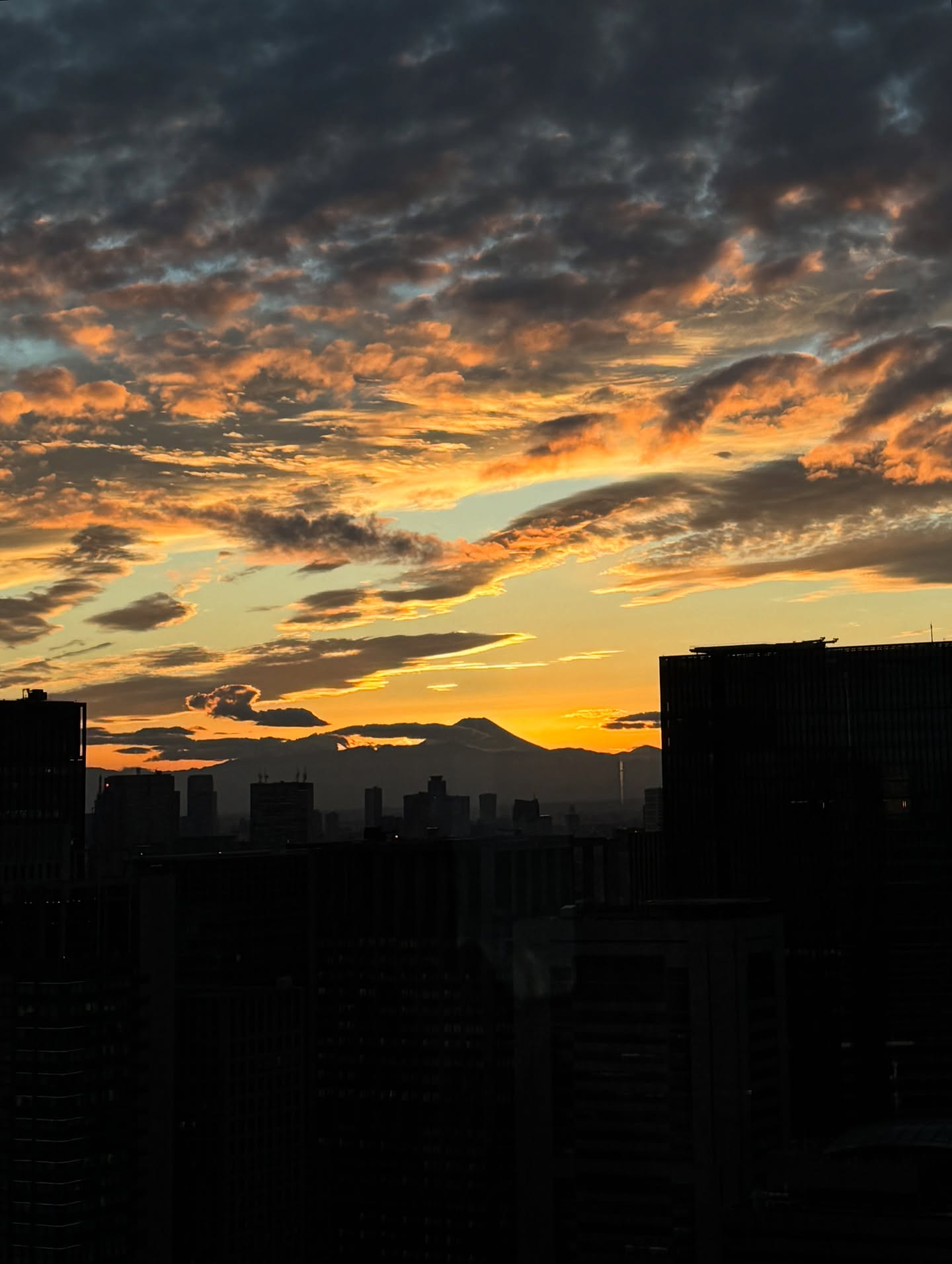 สกาย - มาเรีย เฮิร์ชเลอร์