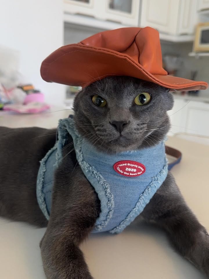 แจ็คกี้ - ชาเคอลีน มึ้นช์