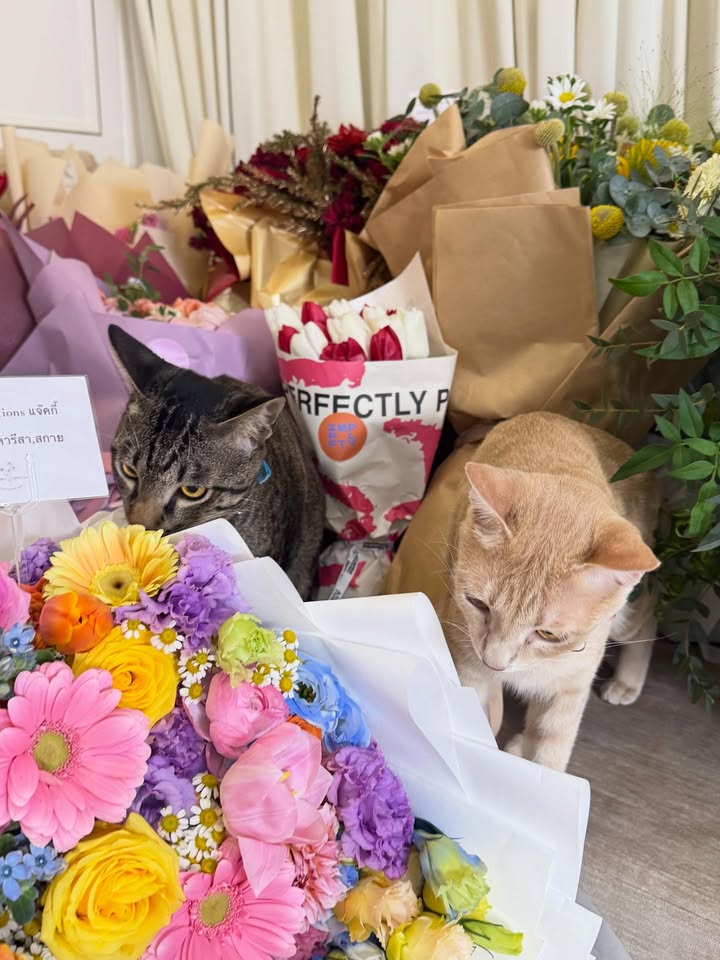 แจ็คกี้ - ชาเคอลีน มึ้นช์