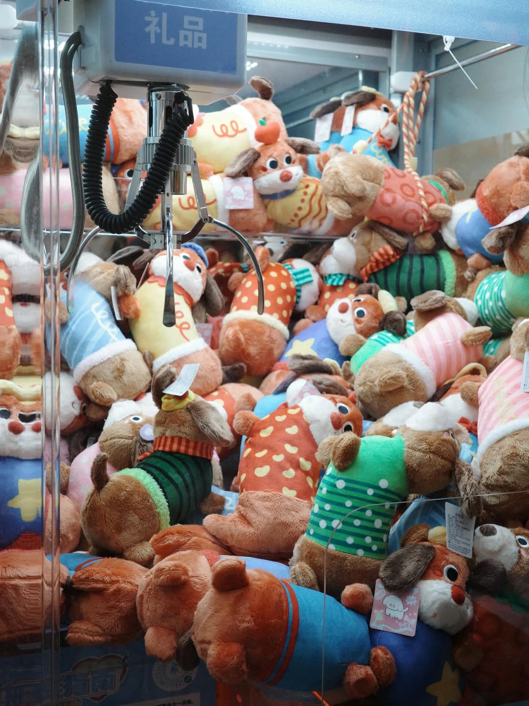 แจ็คกี้ - ชาเคอลีน มึ้นช์