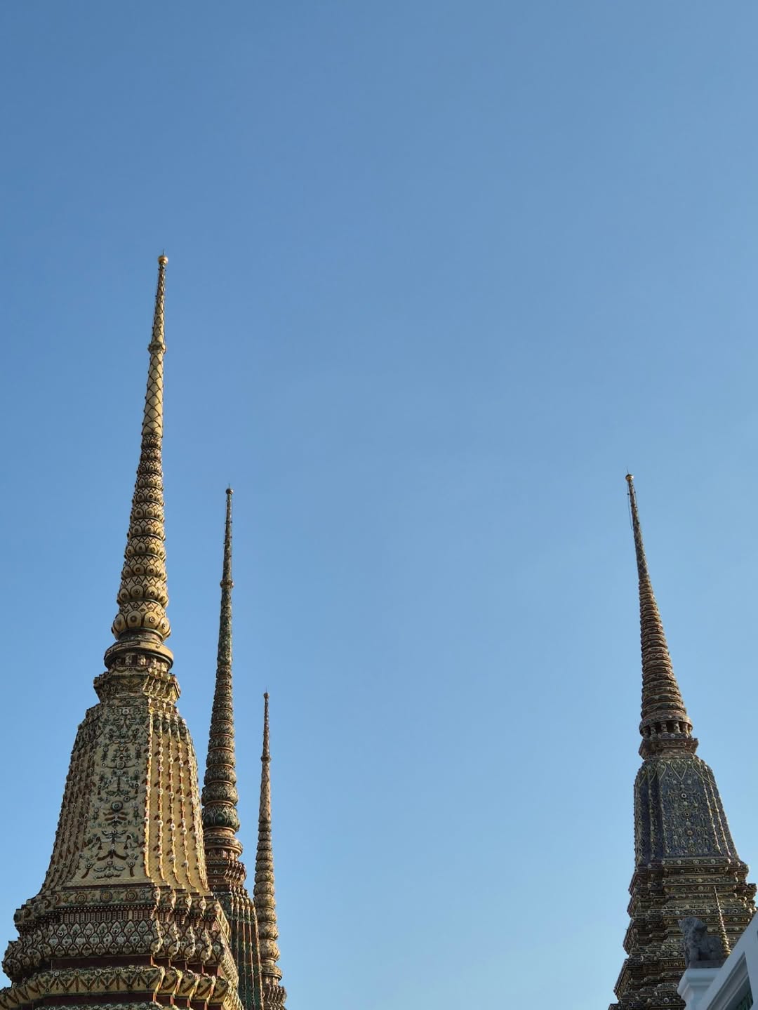 แจ็คกี้ - ชาเคอลีน มึ้นช์