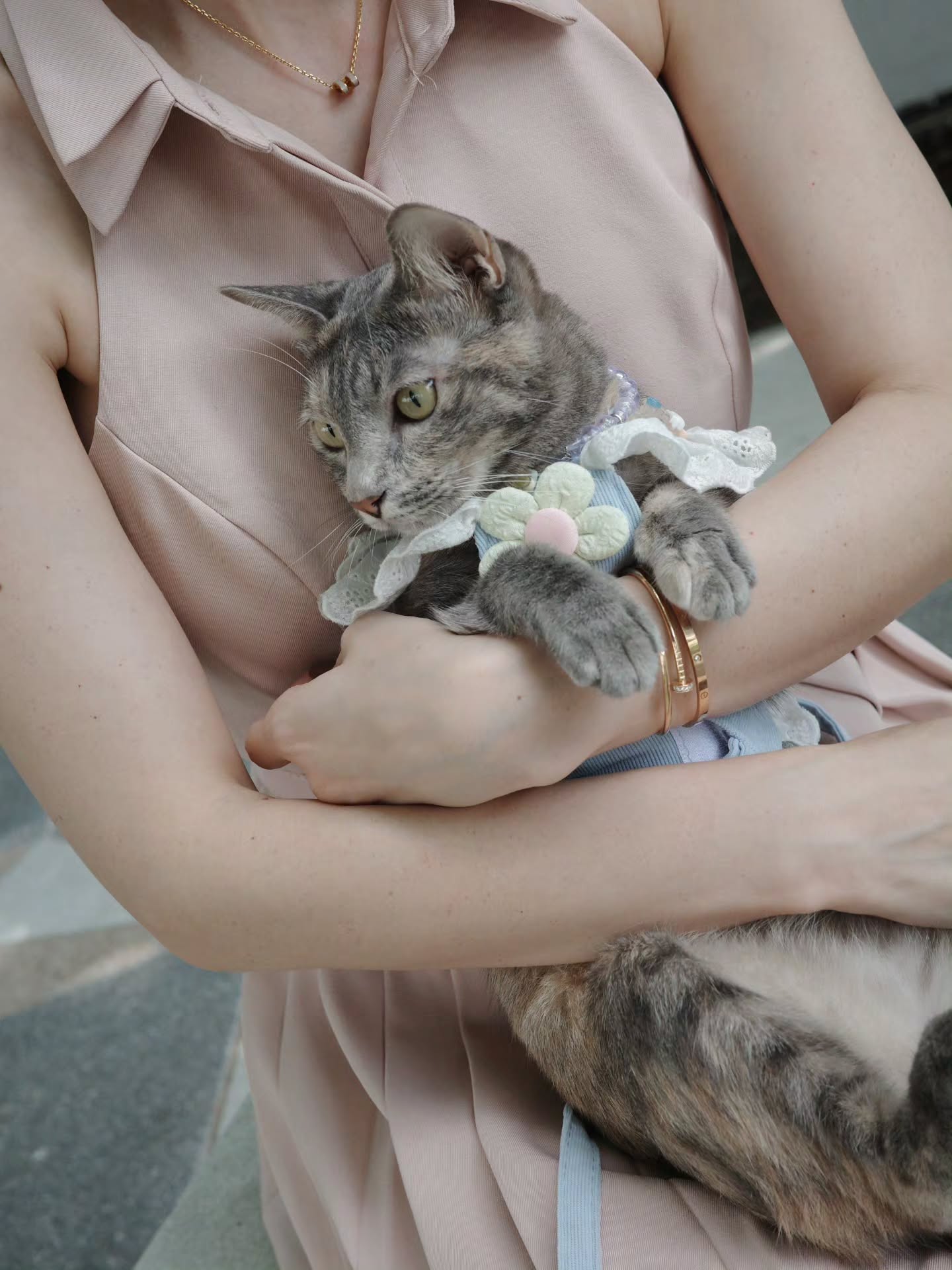 แจ็คกี้ - ชาเคอลีน มึ้นช์