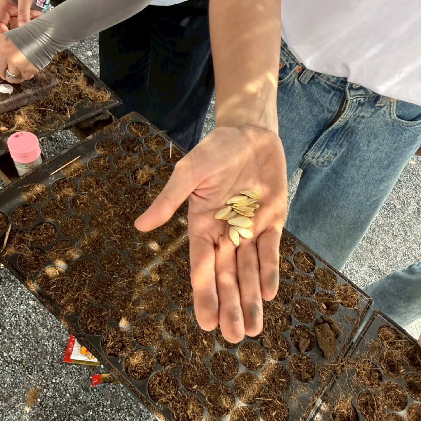 เจี๊ยบ - ลลนา ก้องธรนินทร์